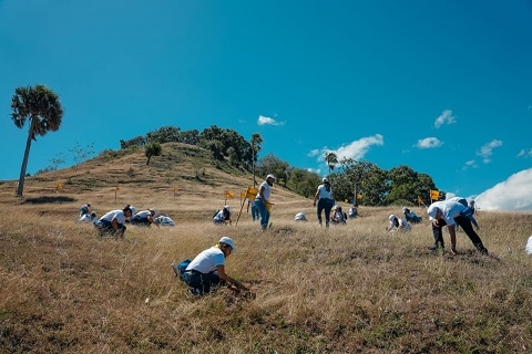 Empleados de Grupo Popular siembran 3,500 árboles en Plan Sierra