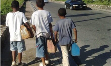 Día Mundial contra el Trabajo Infantil: Lucha por un Futuro Libre de Explotación en RD