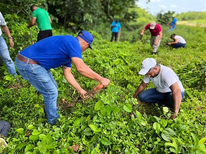 PEDEPE realiza jornada de reforestación en Jamao al Norte