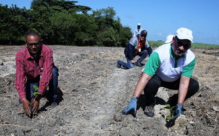 Voluntarios de CAEI realizan jornada de reforestación