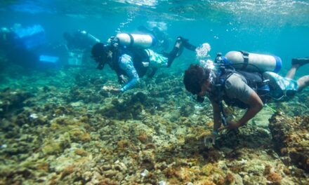Buscan revertir crítica situación de los arrecifes de coral caribeños