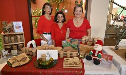 Navidad Centro León para la familia