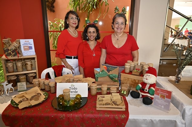 Navidad Centro León para la familia