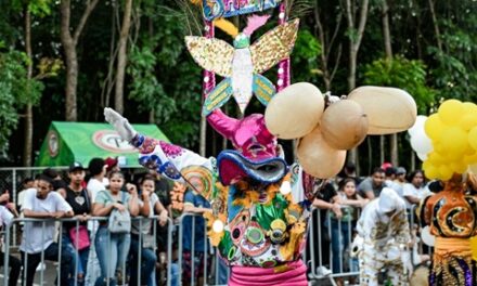 Carnaval de Santiago realiza segunda jornada con éxito