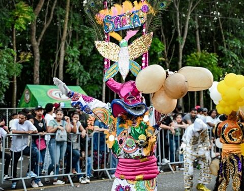 Carnaval de Santiago realiza segunda jornada con éxito