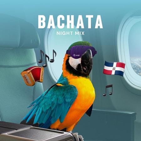 Arajet resalta dominicanidad con nueva música en sus vuelos 
