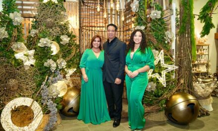 EK Home Design ilumina la Navidad