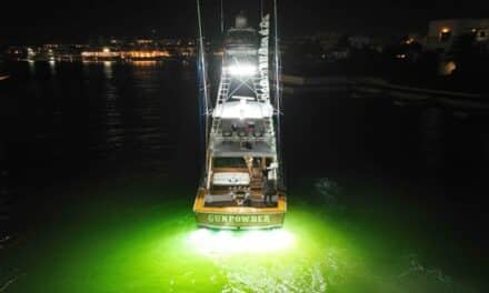 Marina Cap Cana impone récord atlántico de mayor liberación de marlin azul