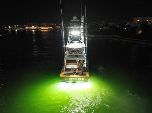 Marina Cap Cana impone récord atlántico de mayor liberación de marlin azul